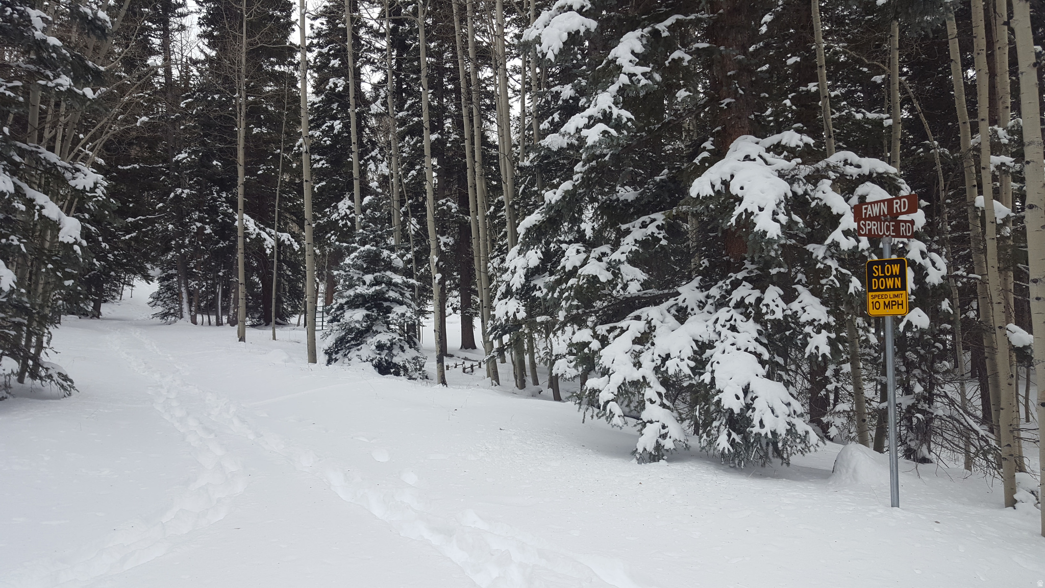 CLEAR CREEK ESTATES - Land