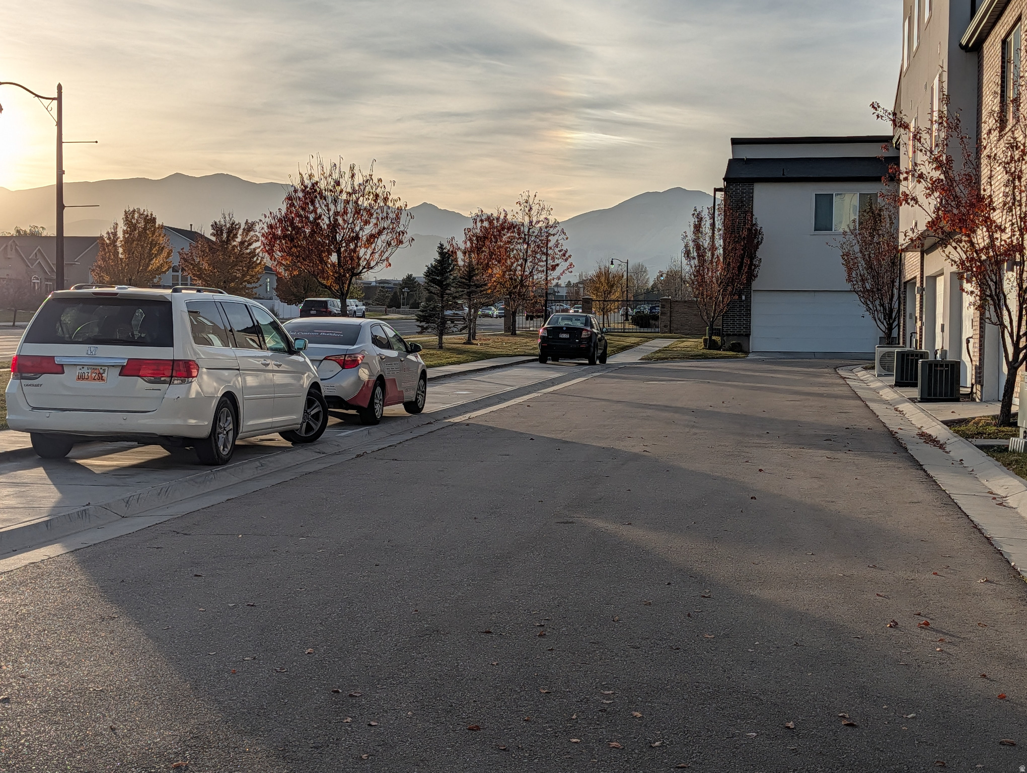 TREO MANAGEMENT - Residential