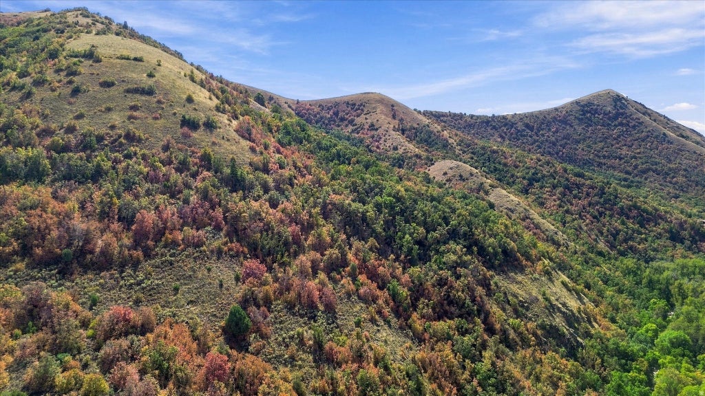 Photo of 3000 E CANYON RD, Smithfield, UT 84335 (MLS # 2186839)