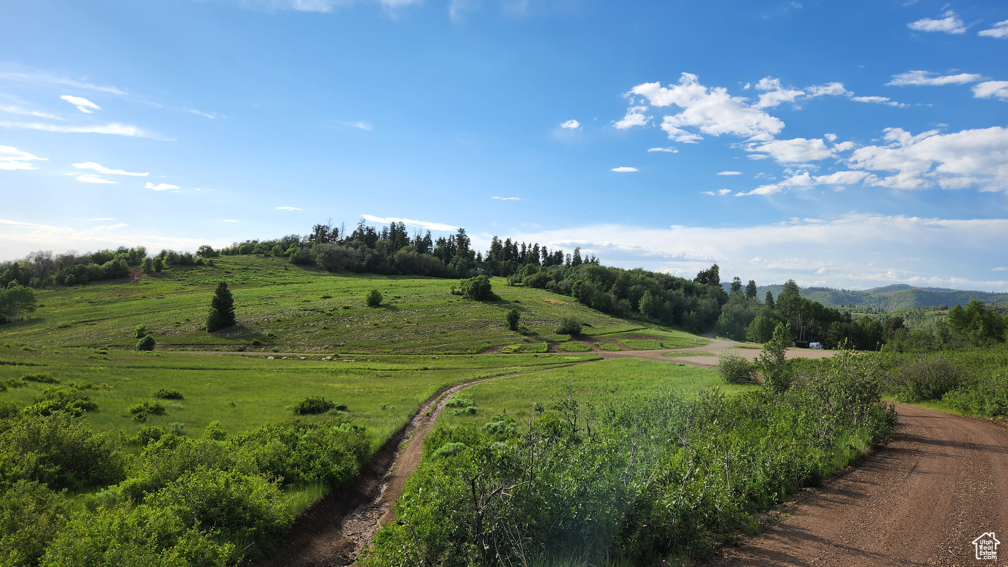 SKYLINE MOUNTAIN RESORT SUBDIVISION - Land