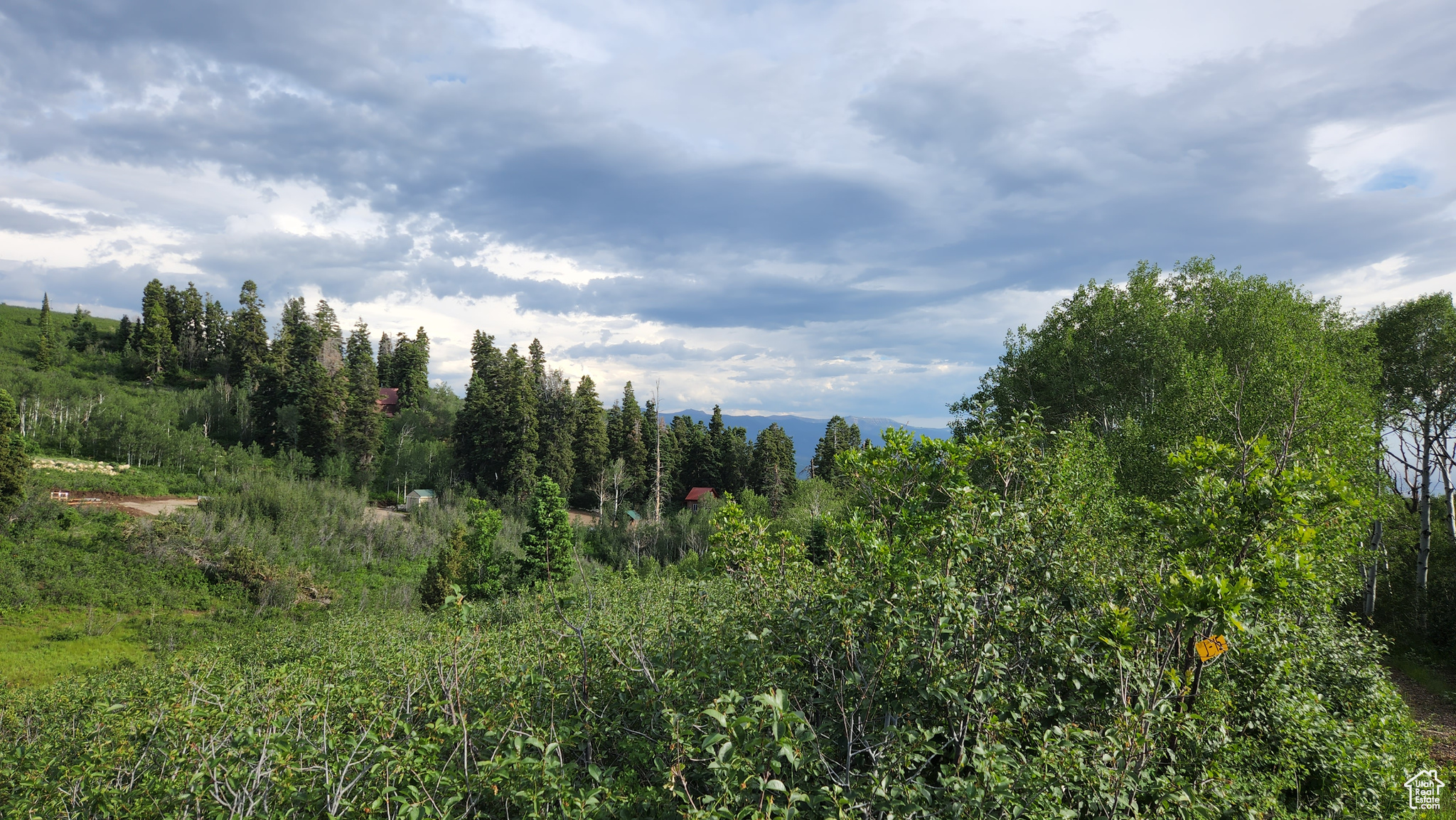 SKYLINE MOUNTAIN RESORT SUBDIVISION - Land