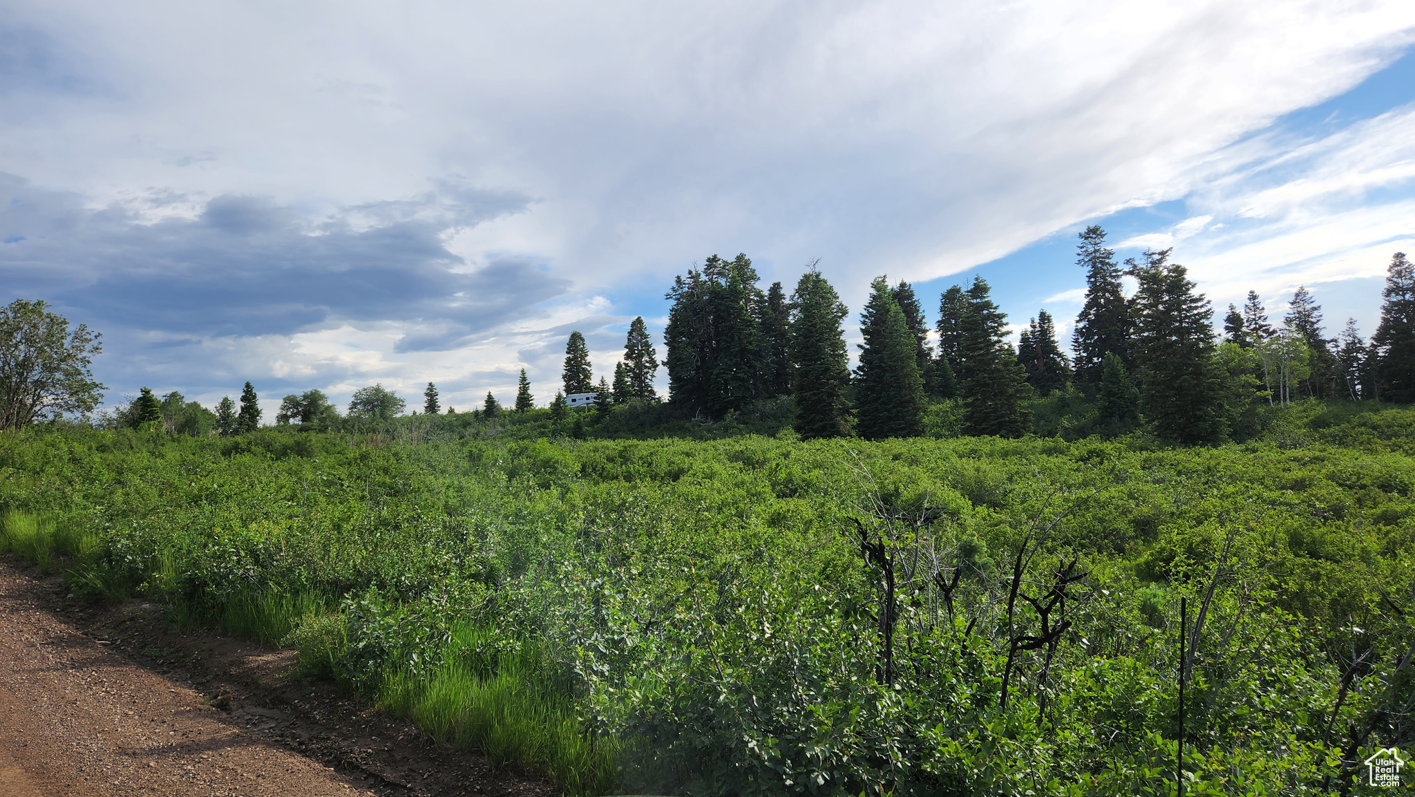 SKYLINE MOUNTAIN RESORT SUBDIVISION - Land