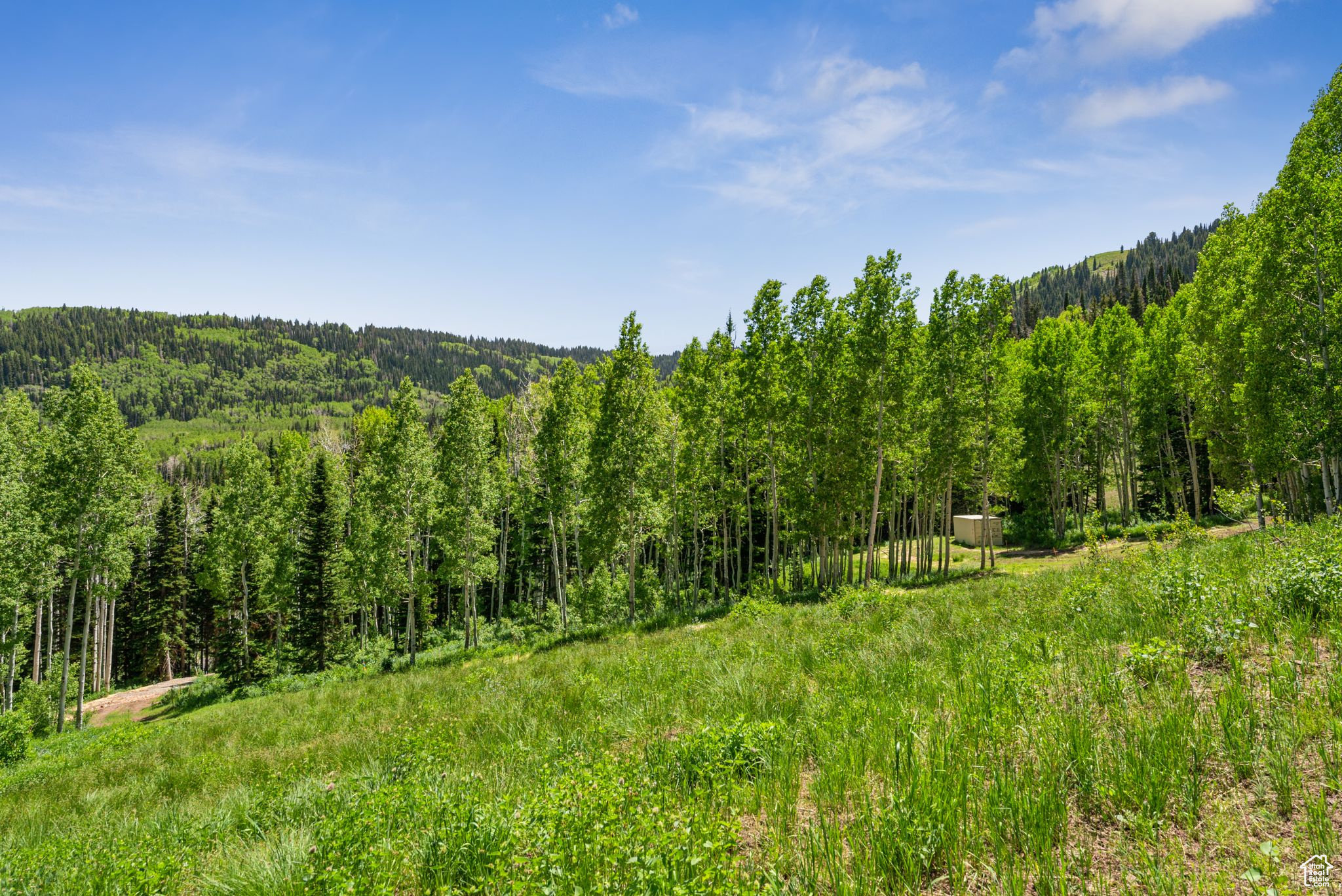 COLONY AT WHITE PINE CANYON - Land