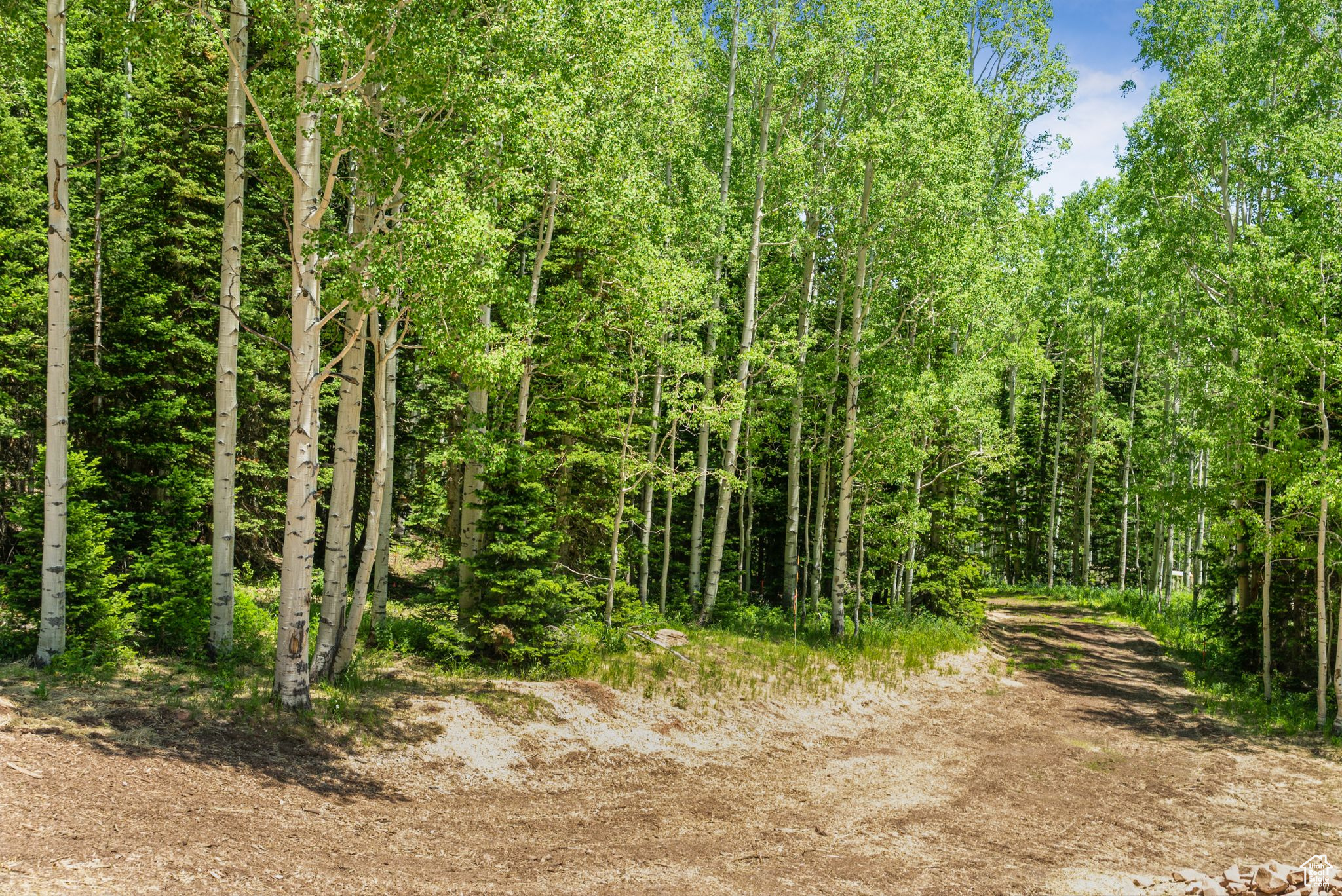 COLONY AT WHITE PINE CANYON - Land