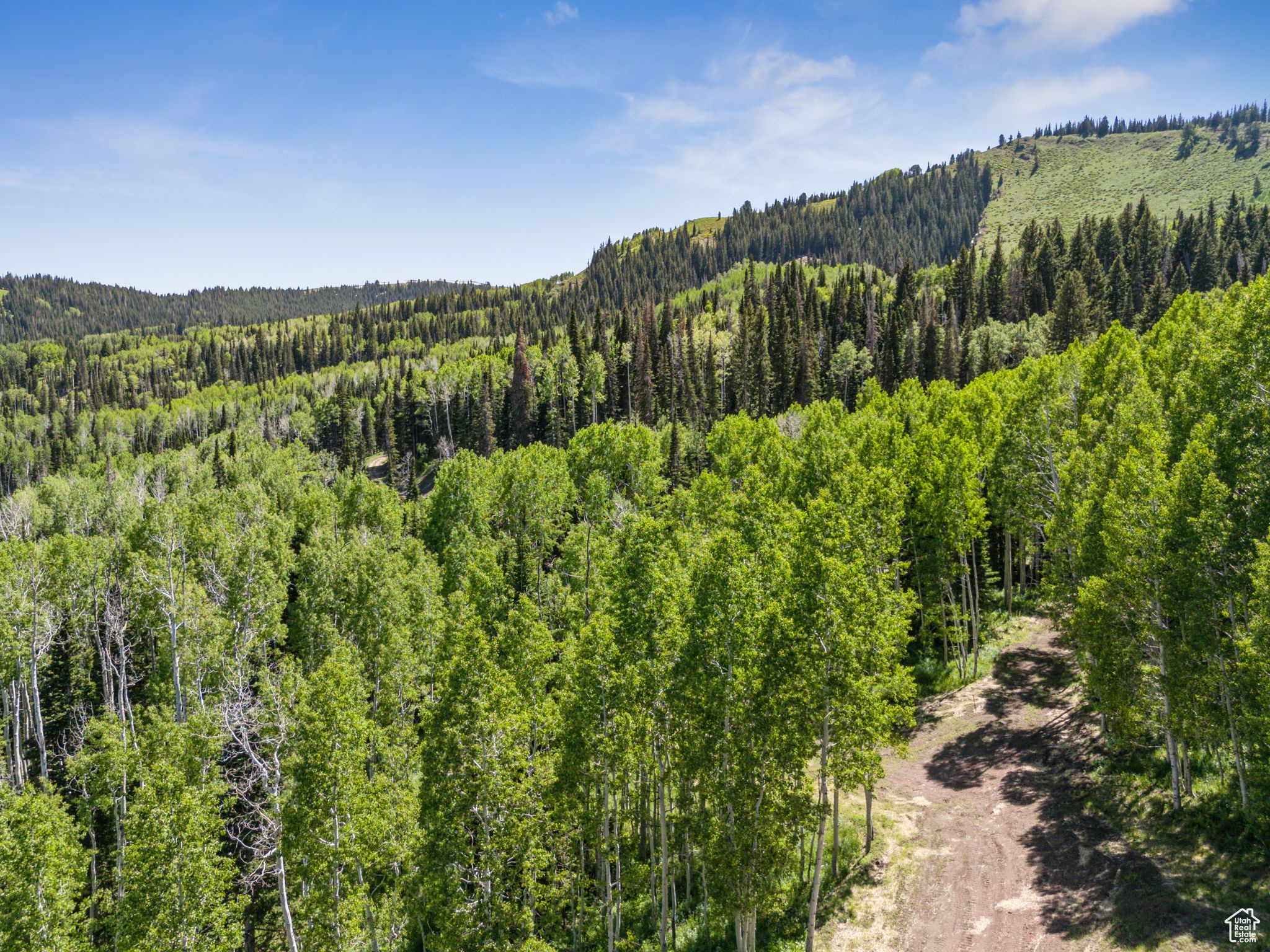 COLONY AT WHITE PINE CANYON - Land