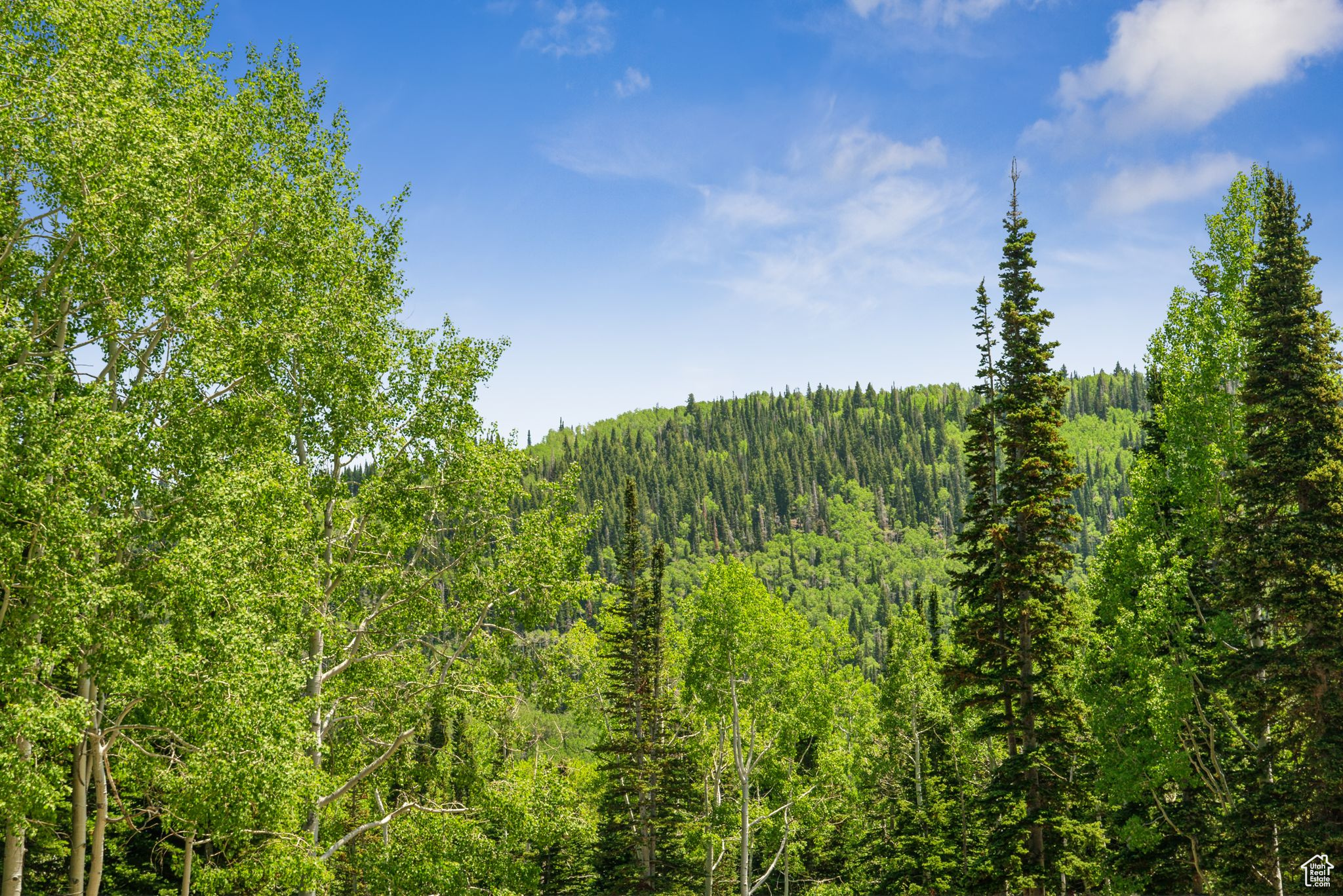COLONY AT WHITE PINE CANYON - Land