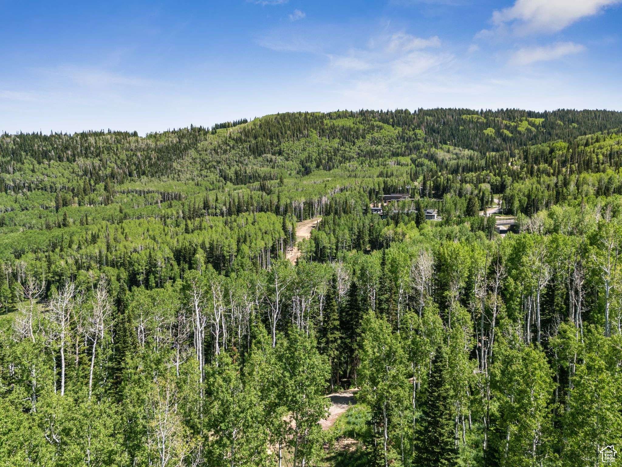 COLONY AT WHITE PINE CANYON - Land