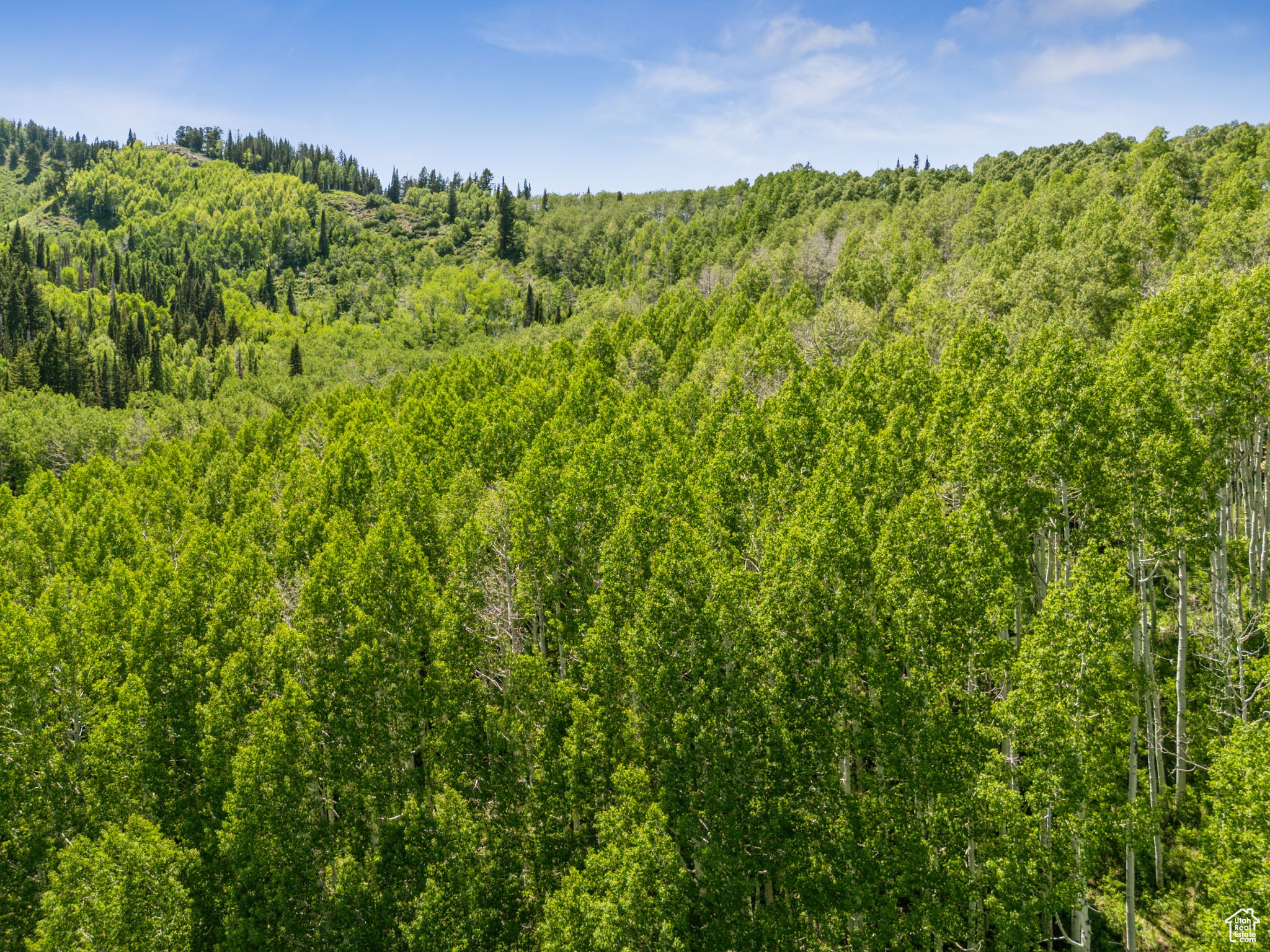 COLONY AT WHITE PINE CANYON - Land
