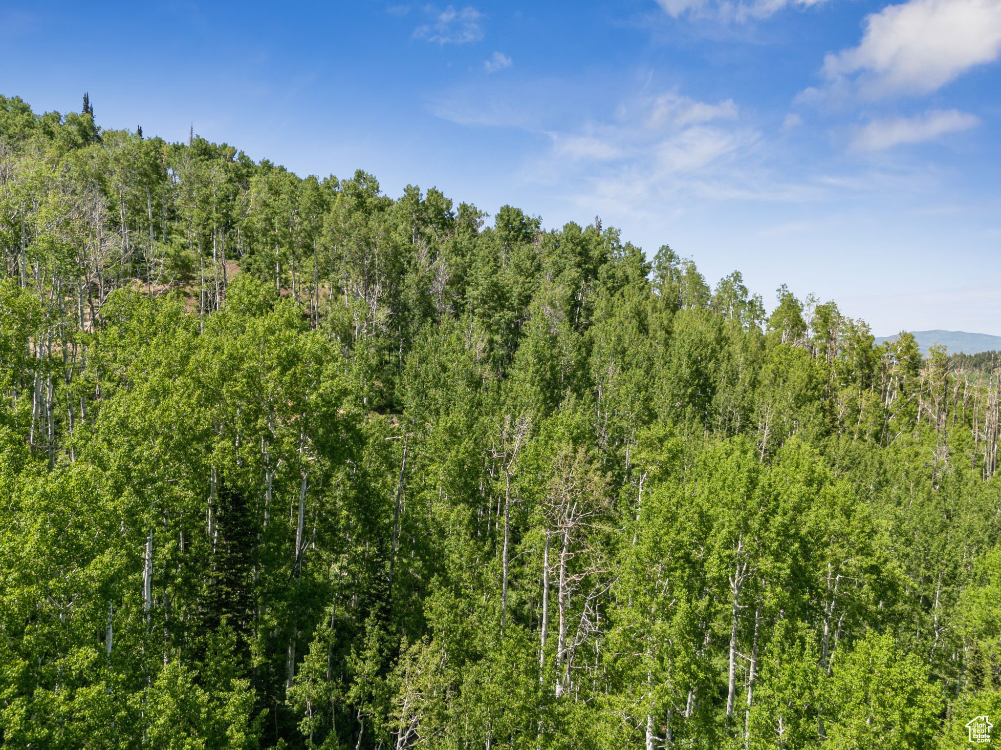 COLONY AT WHITE PINE CANYON - Land