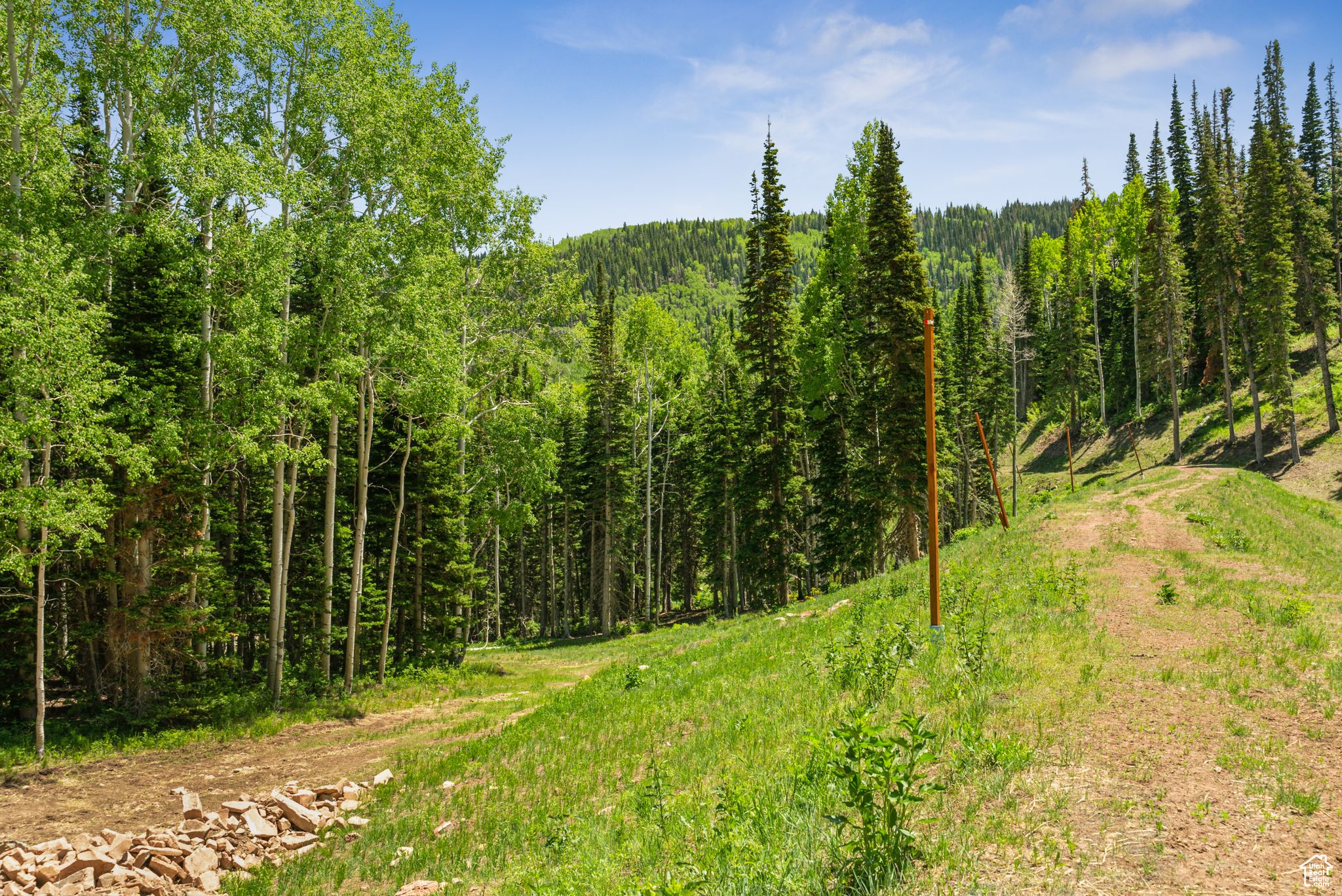 COLONY AT WHITE PINE CANYON - Land
