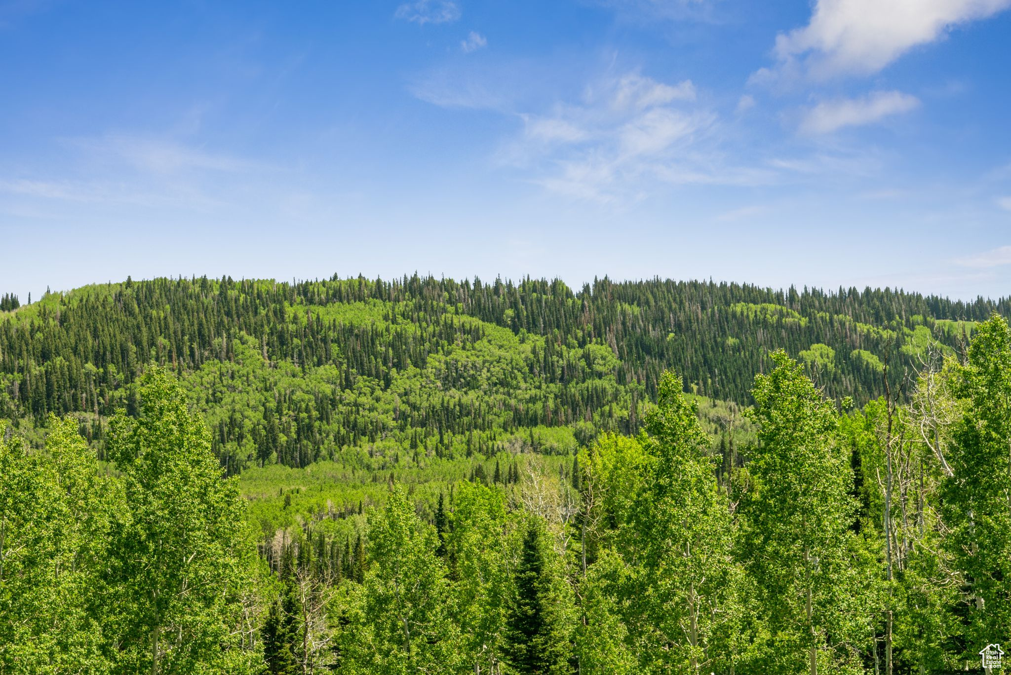 COLONY AT WHITE PINE CANYON - Land
