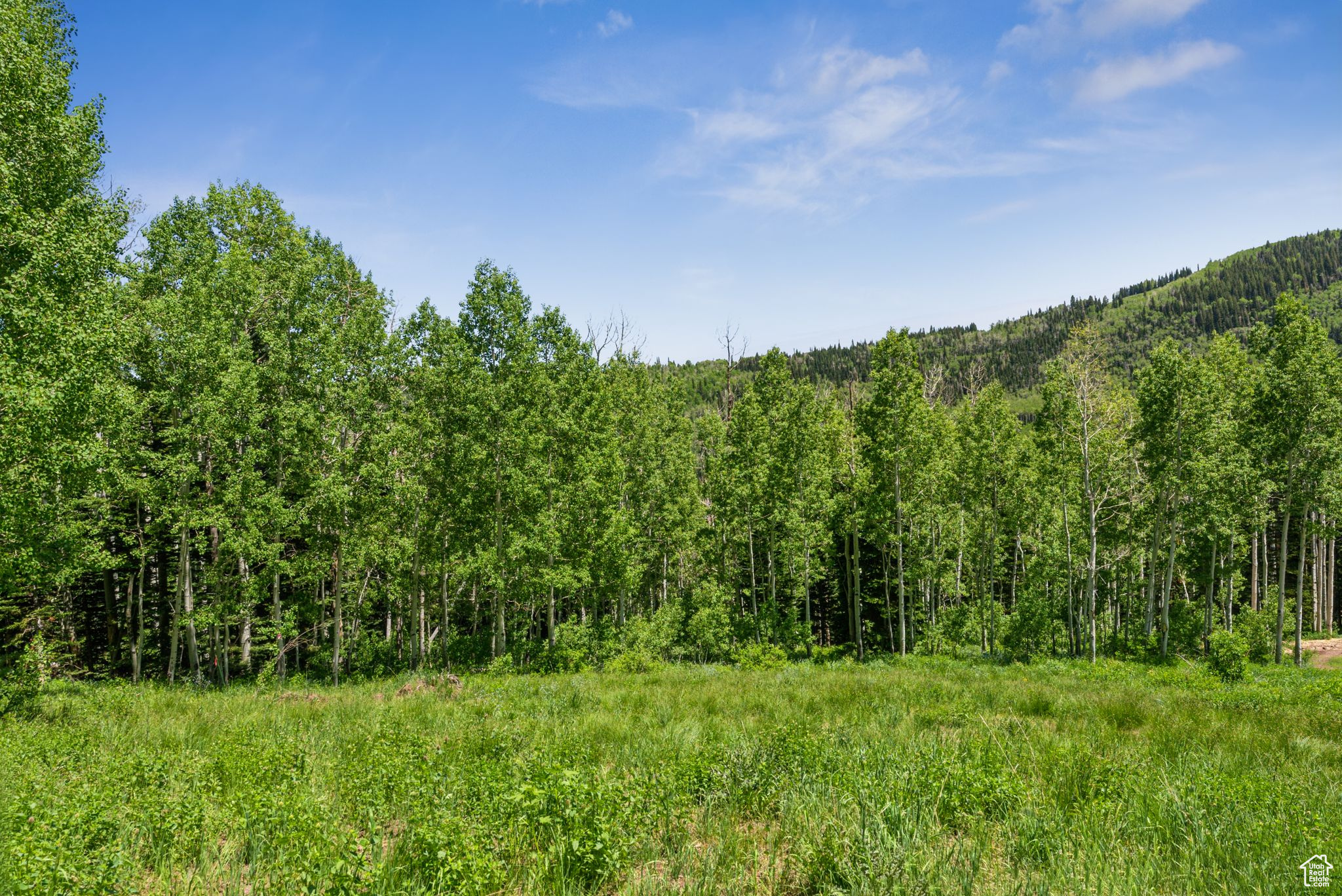COLONY AT WHITE PINE CANYON - Land