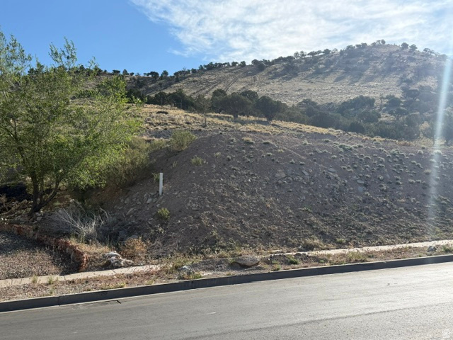 CANYON RIDGE - Land