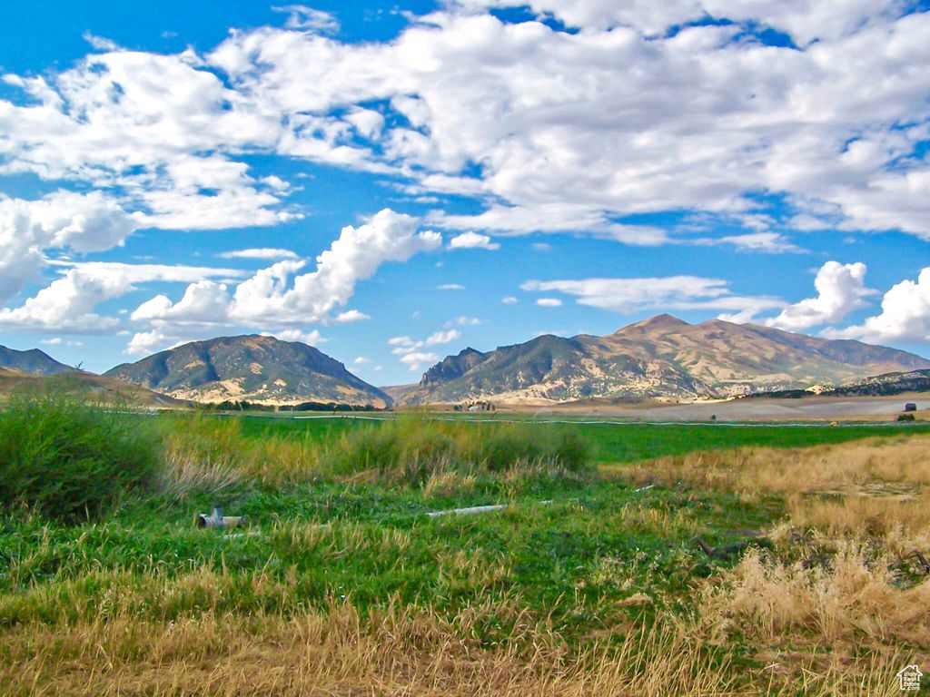 Photo of 6995 W 2200 S, Weston, ID 83286 (MLS # 2103836)