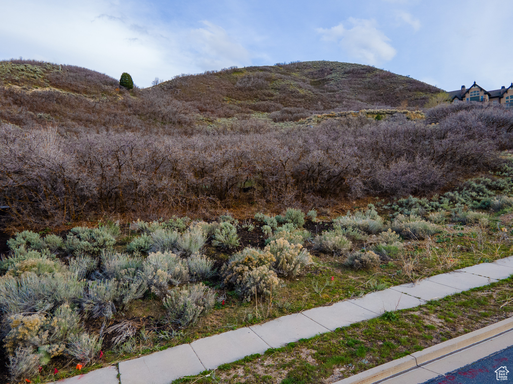 OAKHOLLOW ESTATES - Land