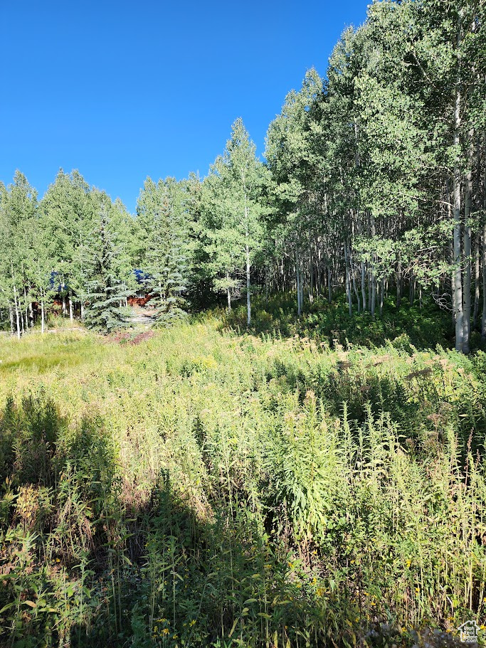 4032 S Buck Way, Heber City, Utah image 37