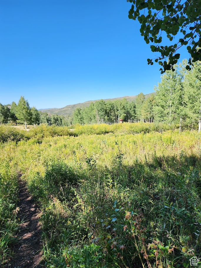 4032 S Buck Way, Heber City, Utah image 34