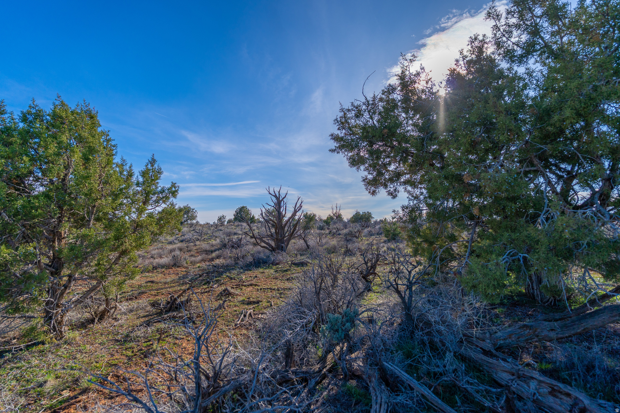 AVIKAN HILLS SUBDIVISION - Land