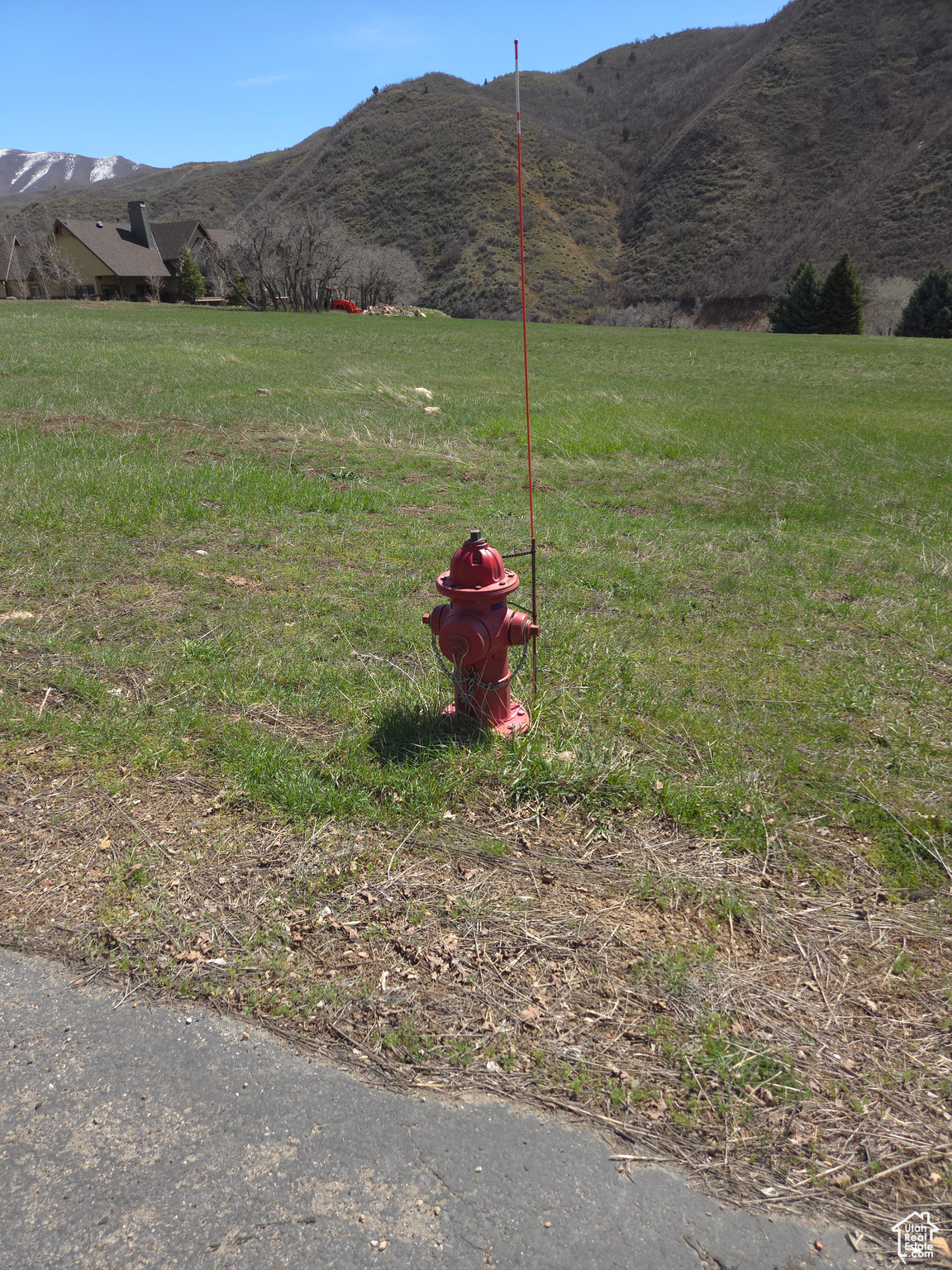#14, Springville, Utah image 6