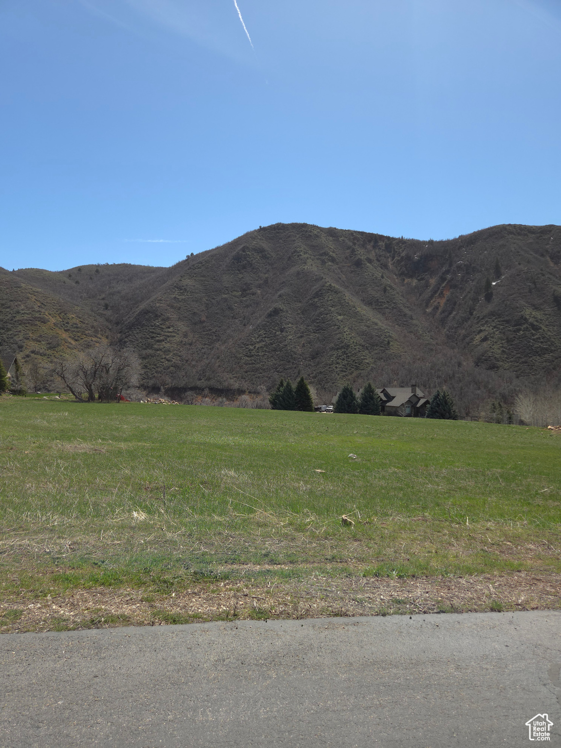 #14, Springville, Utah image 9