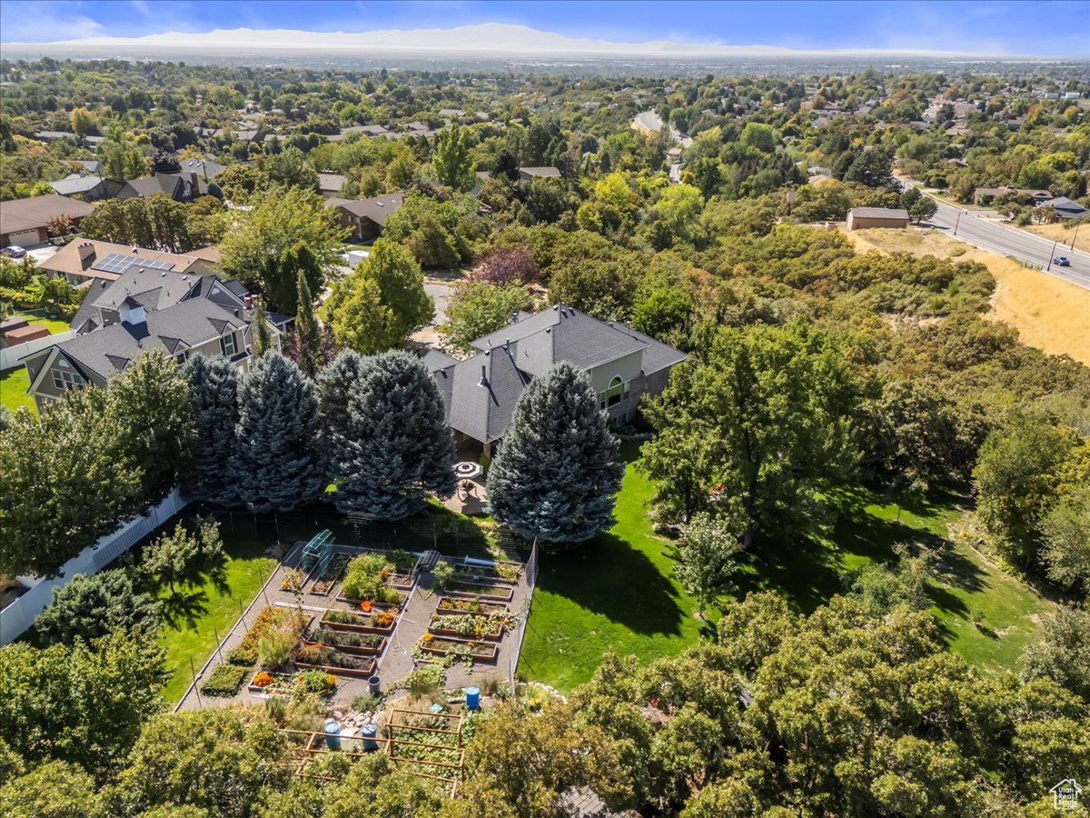 DREAMS END - Residential