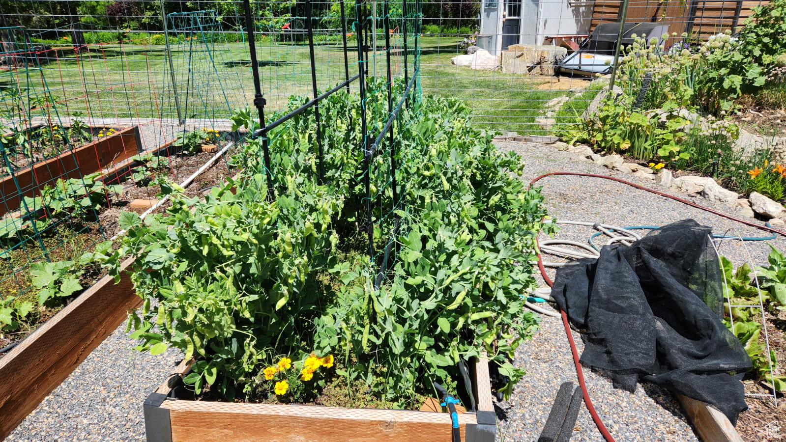 DREAMS END - Residential