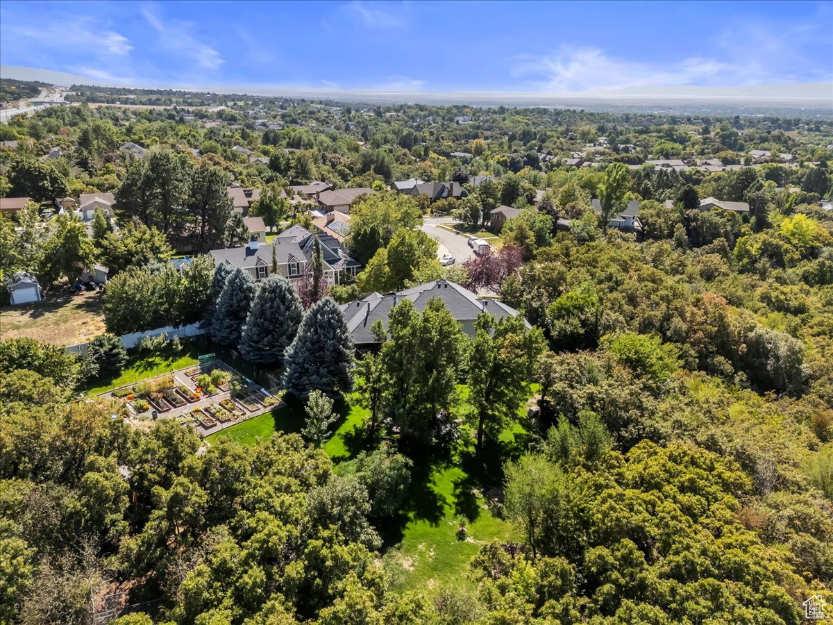 DREAMS END - Residential