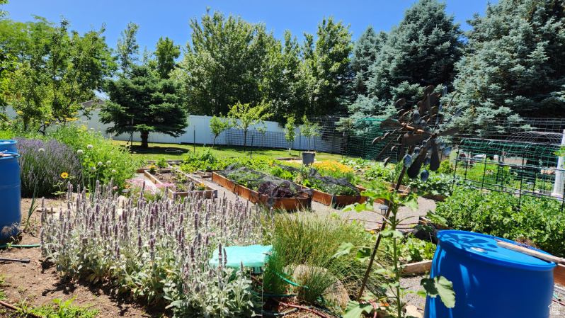 DREAMS END - Residential