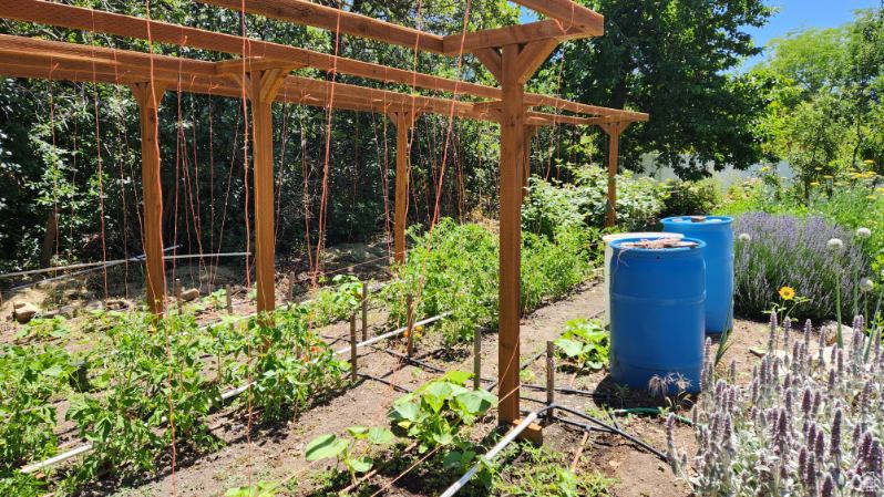 DREAMS END - Residential