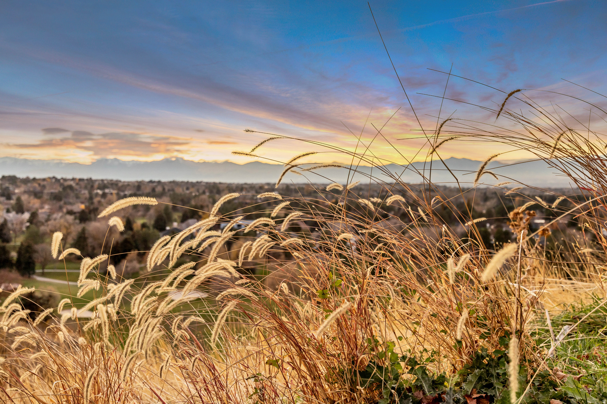 LANTERN HILL AT WILL - Residential