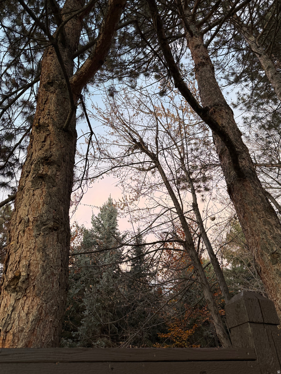 LANTERN HILL AT WILL - Residential