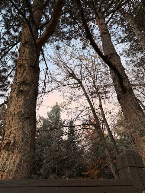 Tiny photo for 3261 E LANTERN HILL CT, Cottonwood Heights, UT 84093 (MLS # 2123797)