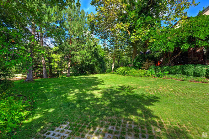 RED BIRCH ESTATES - Residential