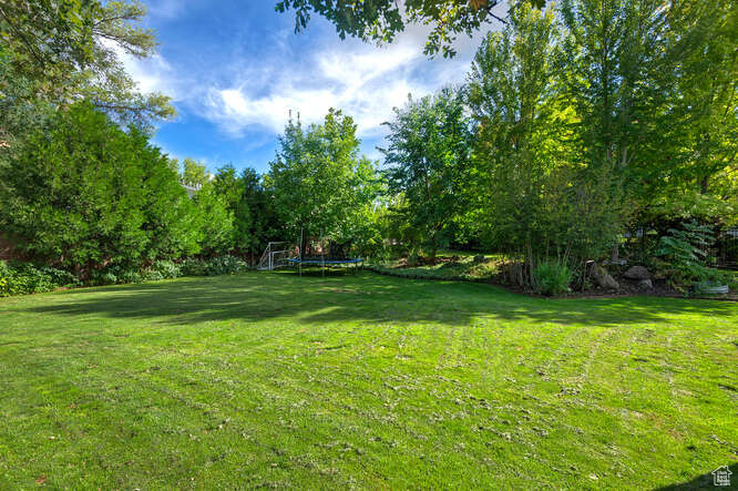 RED BIRCH ESTATES - Residential