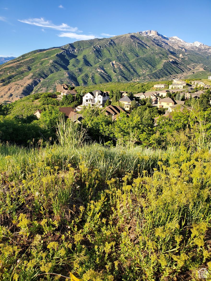 Tucked away at the end of a quiet cul-de-sac and surrounded by beautiful, well-maintained homes, this lot offers a rare chance to build in one of Draper's most scenic and sought-after communities. The lot faces west, giving you incredible unobstructed views of Lone Peak and the Wasatch Mountains to the east-perfect for watching the sun rise over the mountains with your morning coffee and enjoying shaded evenings in your backyard. As part of the SunCrest Owners Association, you'll have access to fantastic community amenities like a clubhouse, gym, pool, hot tub, and a full calendar of neighborhood events. SunCrest is also renowned for its miles of hiking and biking trails, offering year-round adventure right outside your door. There aren't many view lots like this left in SunCrest. If you're looking for a quiet location, unbeatable views, direct access to outdoor recreation, and a strong sense of community, this could be the one.