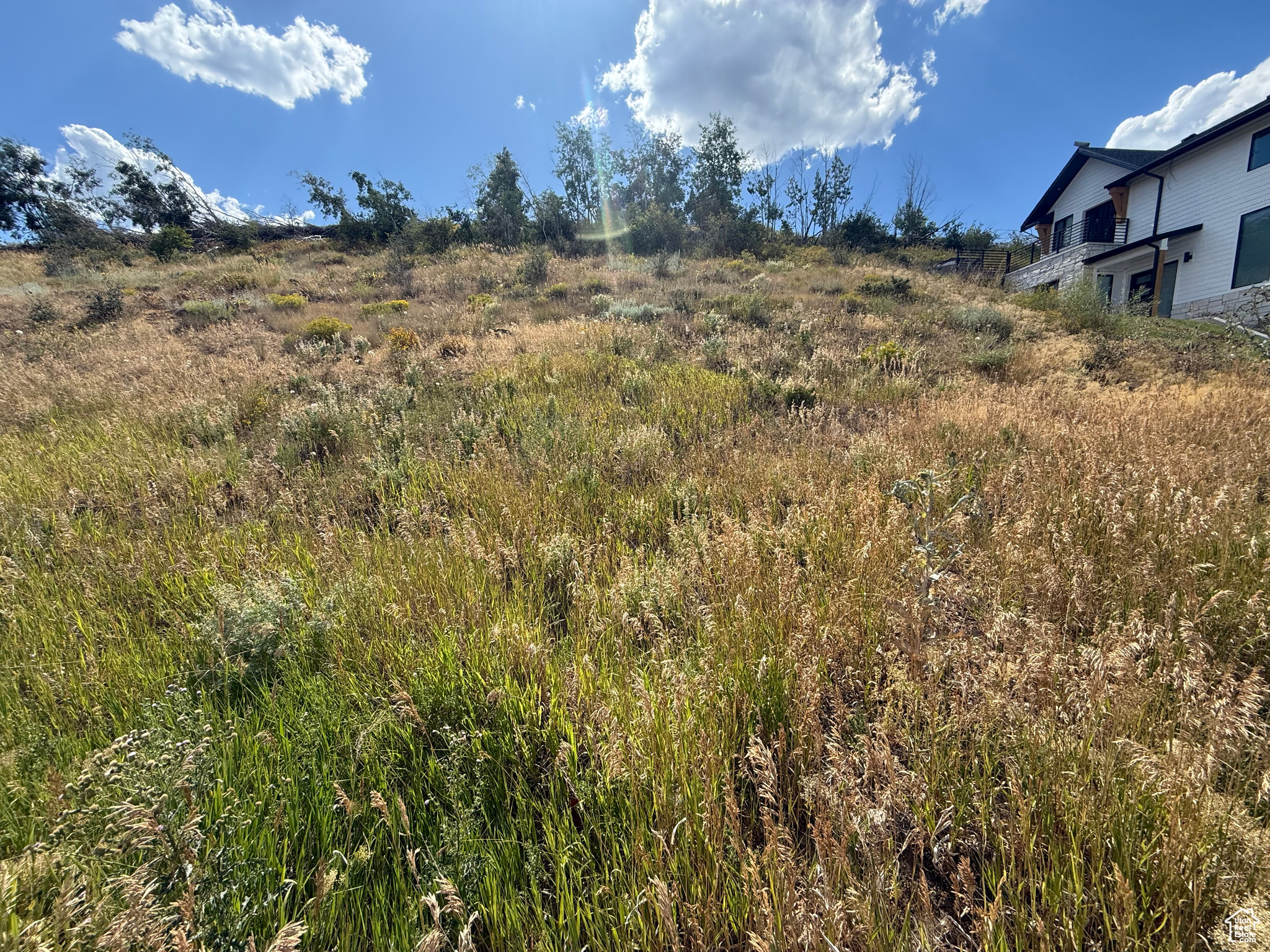 LOCHWOOD PHASE 2 - Land