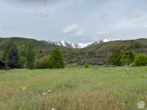 Tiny photo for MEADOW DR #2, Springville, UT 84663 (MLS # 2187549)