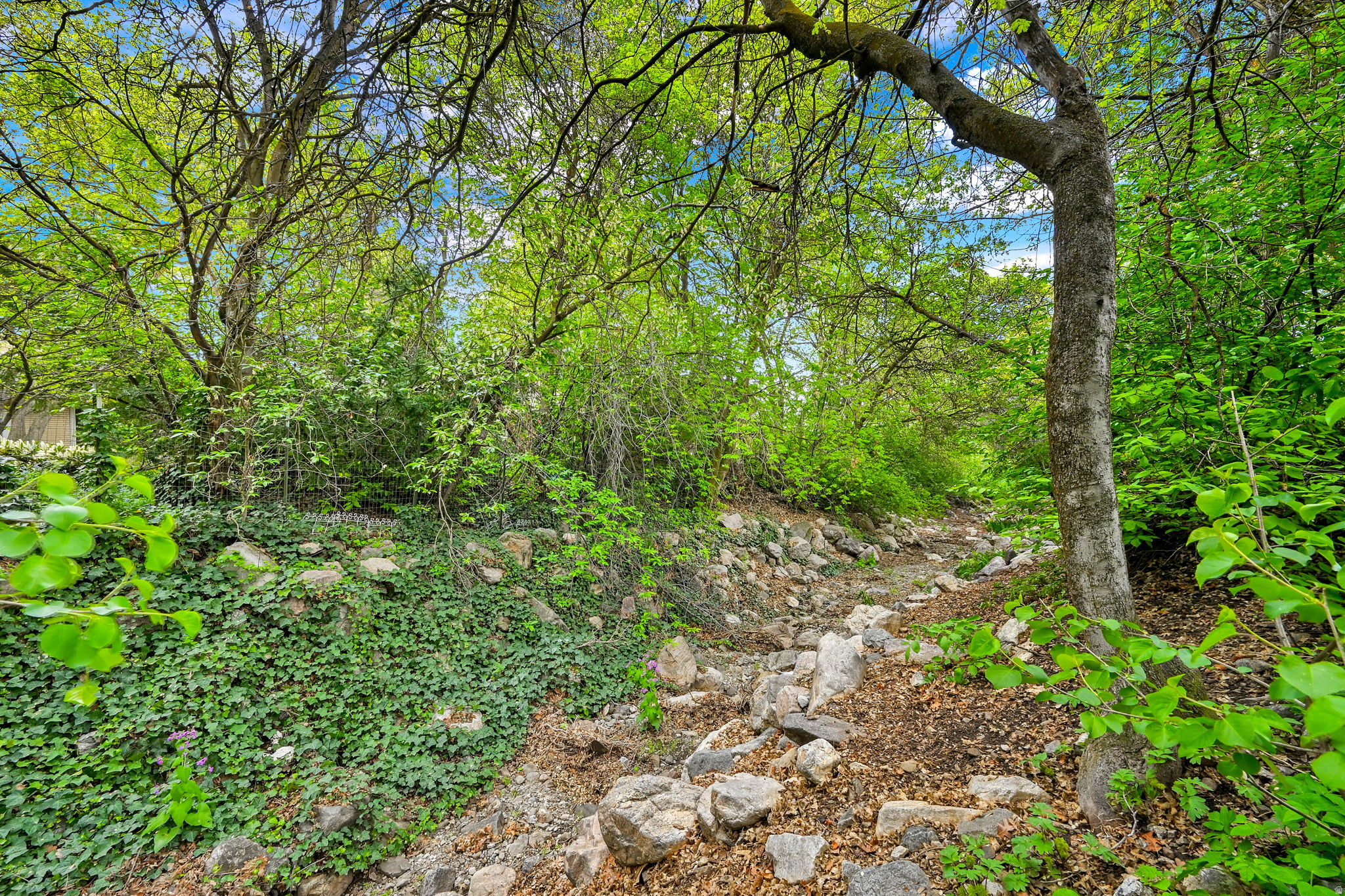 COLDWATER ESTATES - Residential