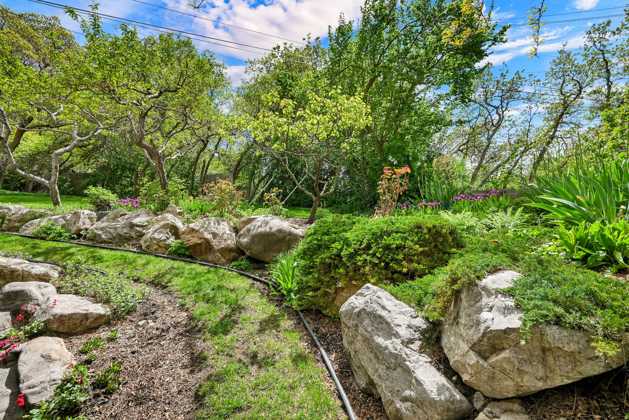 COLDWATER ESTATES - Residential