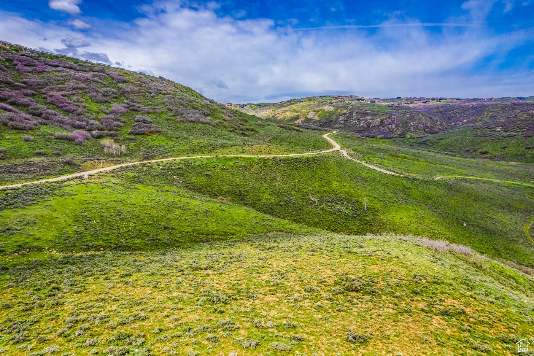 4792 Galts Gulch #4, Park City, Utah image 4