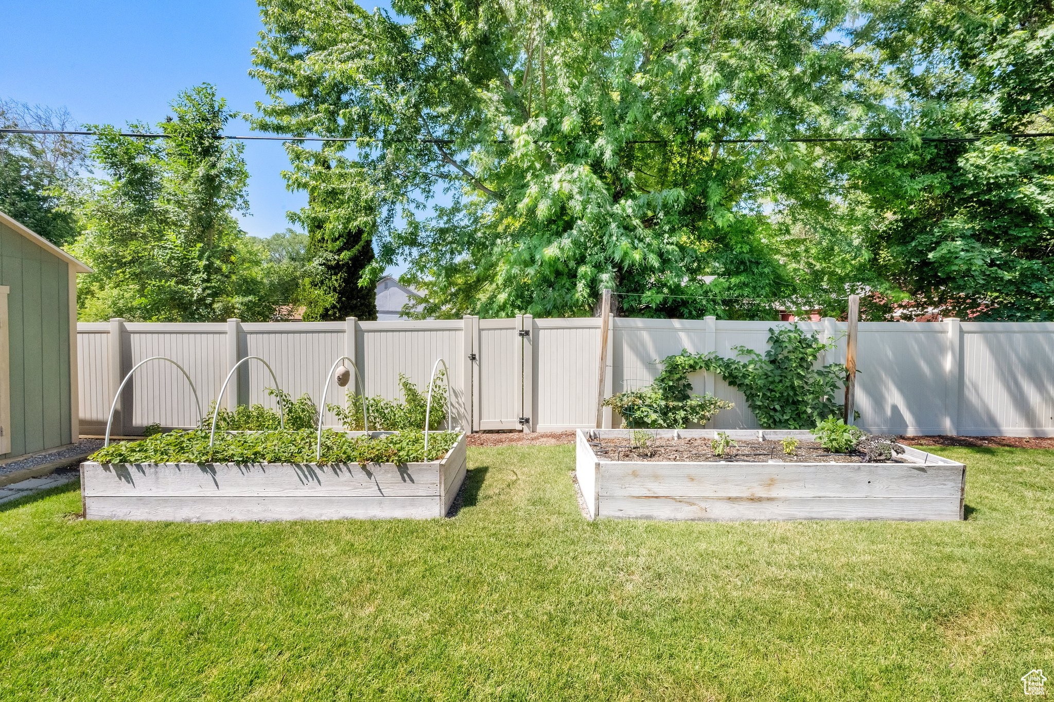 ORCHARD GROVE - Residential