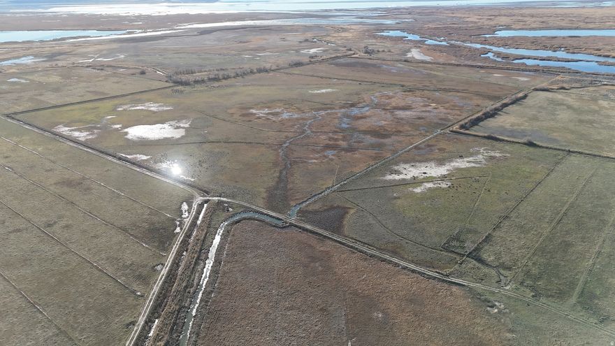 Rare opportunity to own 44.32 acres of pasture land near the Great Salt Lake, including a well for livestock and water rights for irrigation. The acreage is mostly level and fenced, with pasture well-suited for livestock. 16' right of way to access the property.