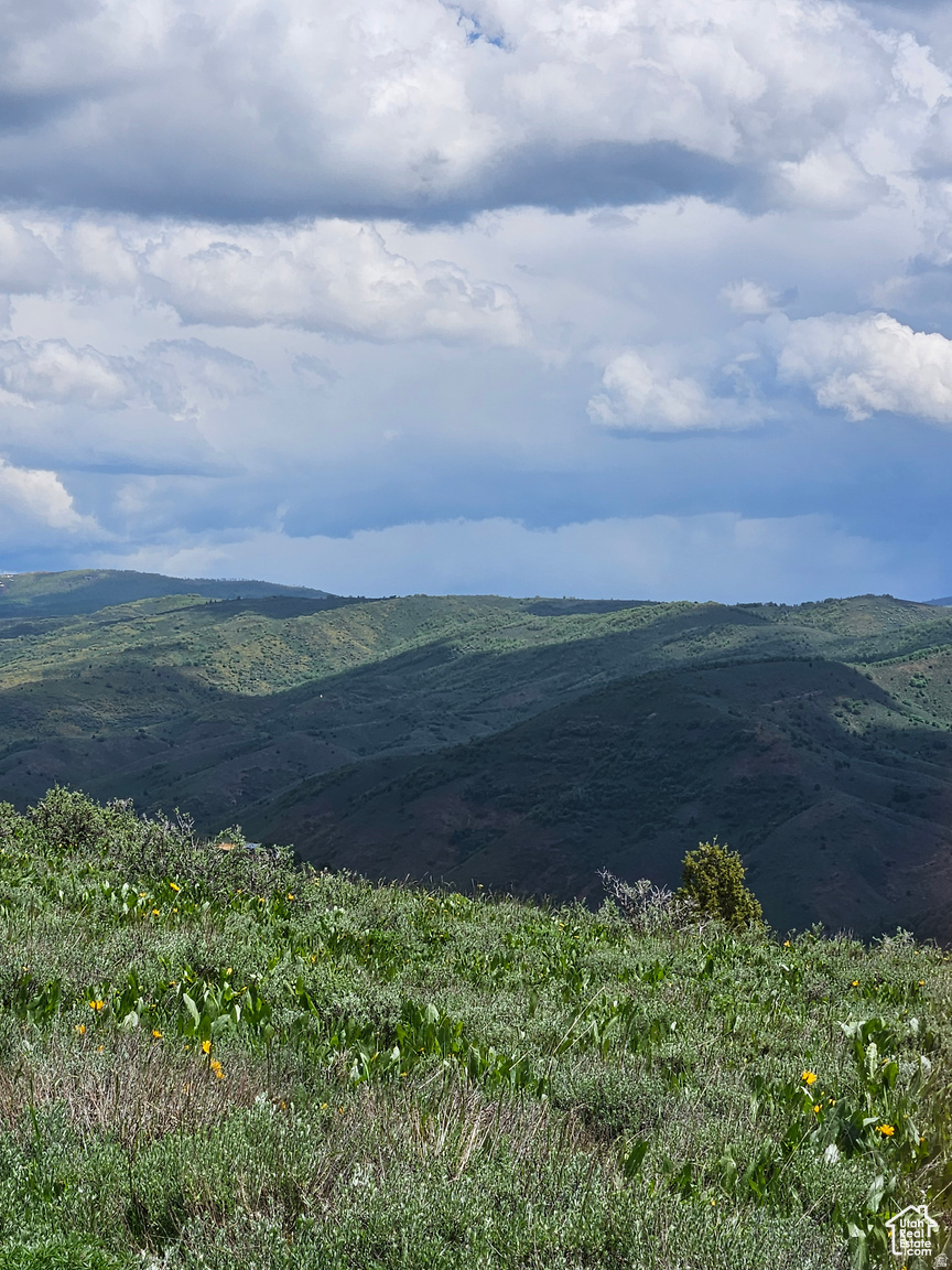 EVERGREEN PARK SUBDIVISION NO.1 - Land