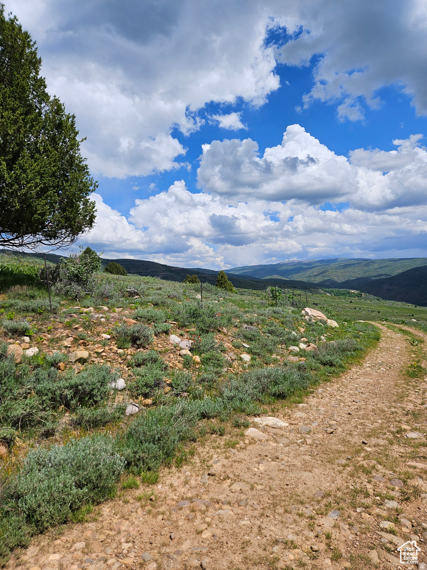 EVERGREEN PARK SUBDIVISION NO.1 - Land