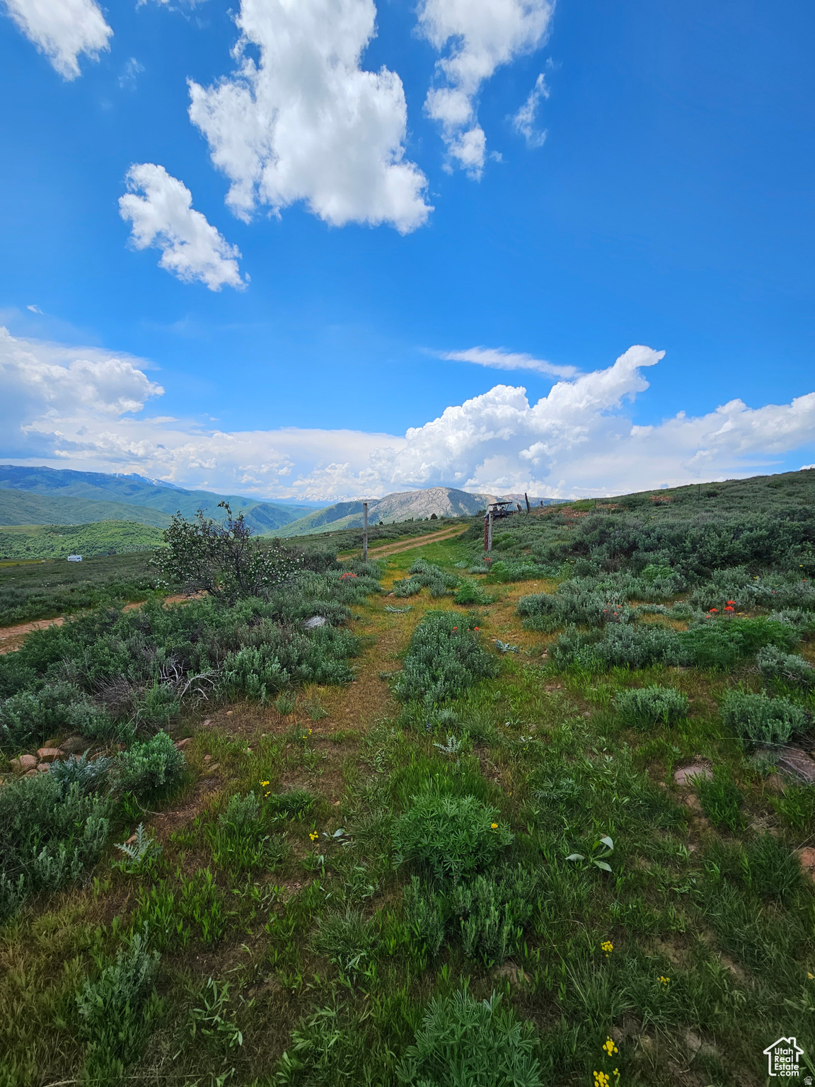 EVERGREEN PARK SUBDIVISION NO.1 - Land