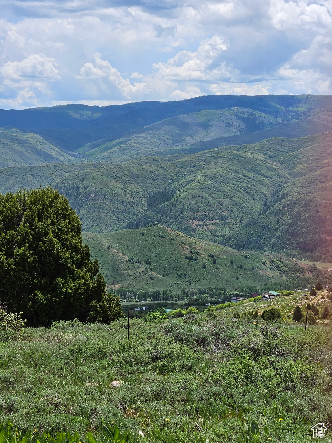 EVERGREEN PARK SUBDIVISION NO.1 - Land