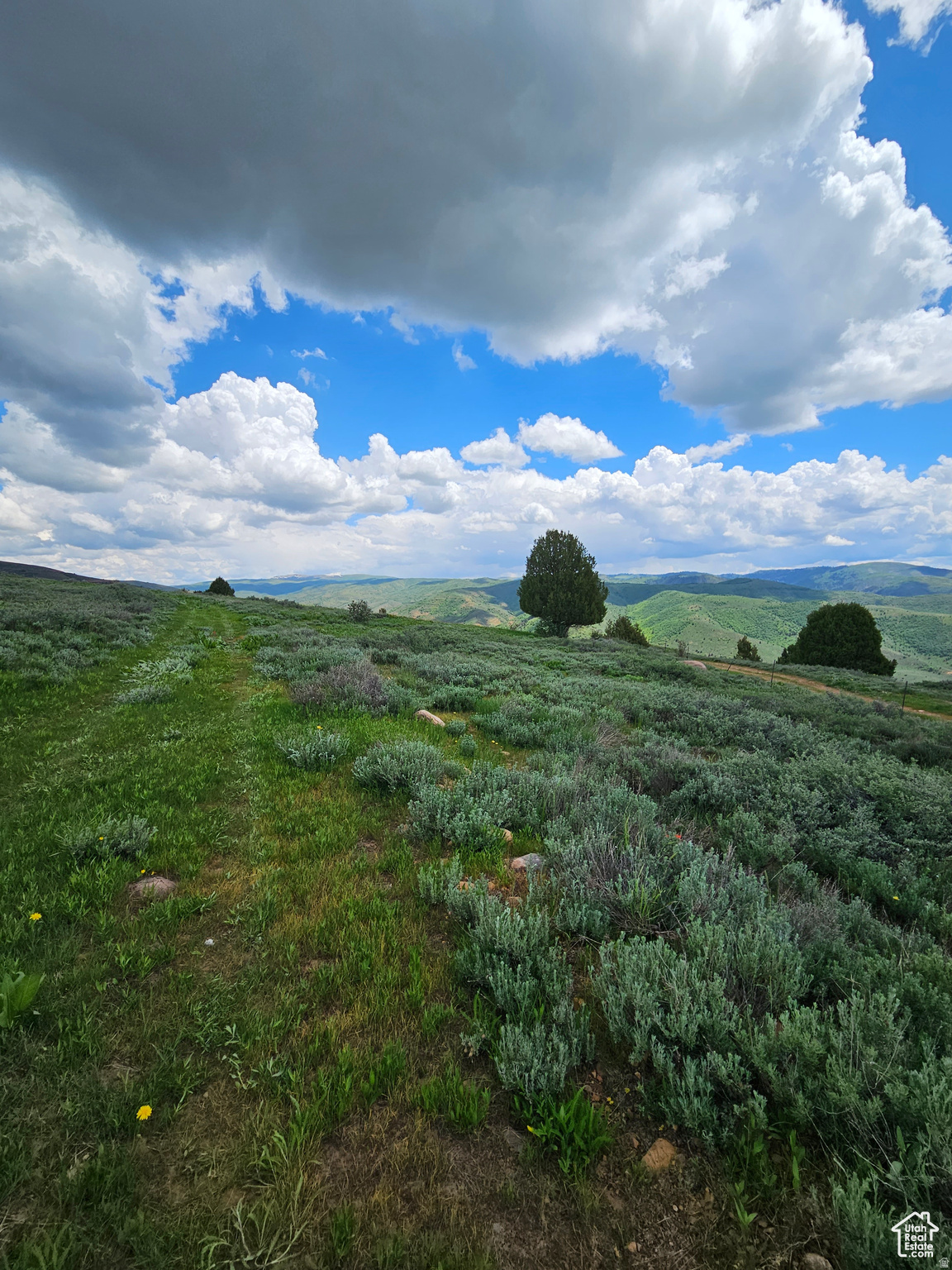 EVERGREEN PARK SUBDIVISION NO.1 - Land