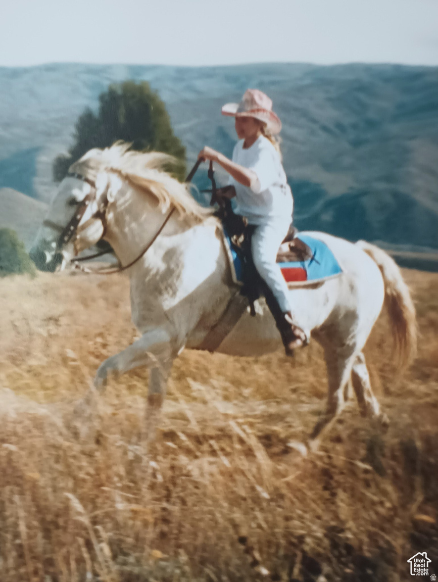 EVERGREEN PARK SUBDIVISION NO.1 - Land