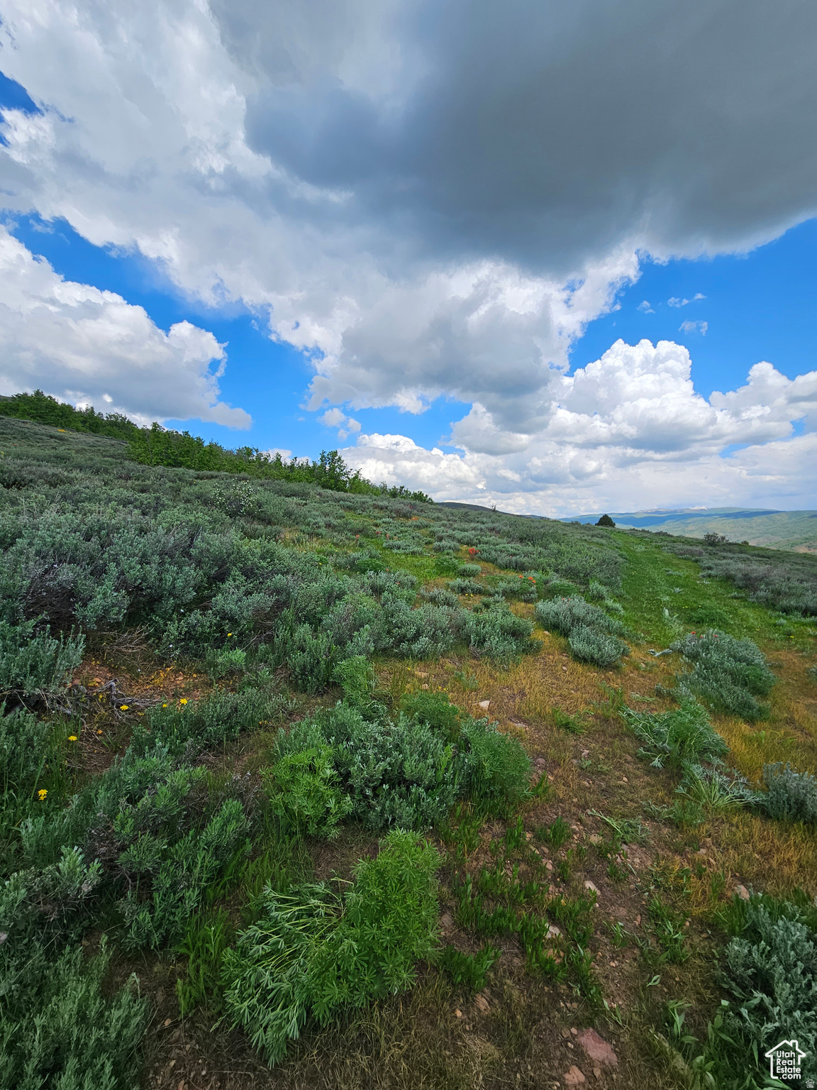 EVERGREEN PARK SUBDIVISION NO.1 - Land