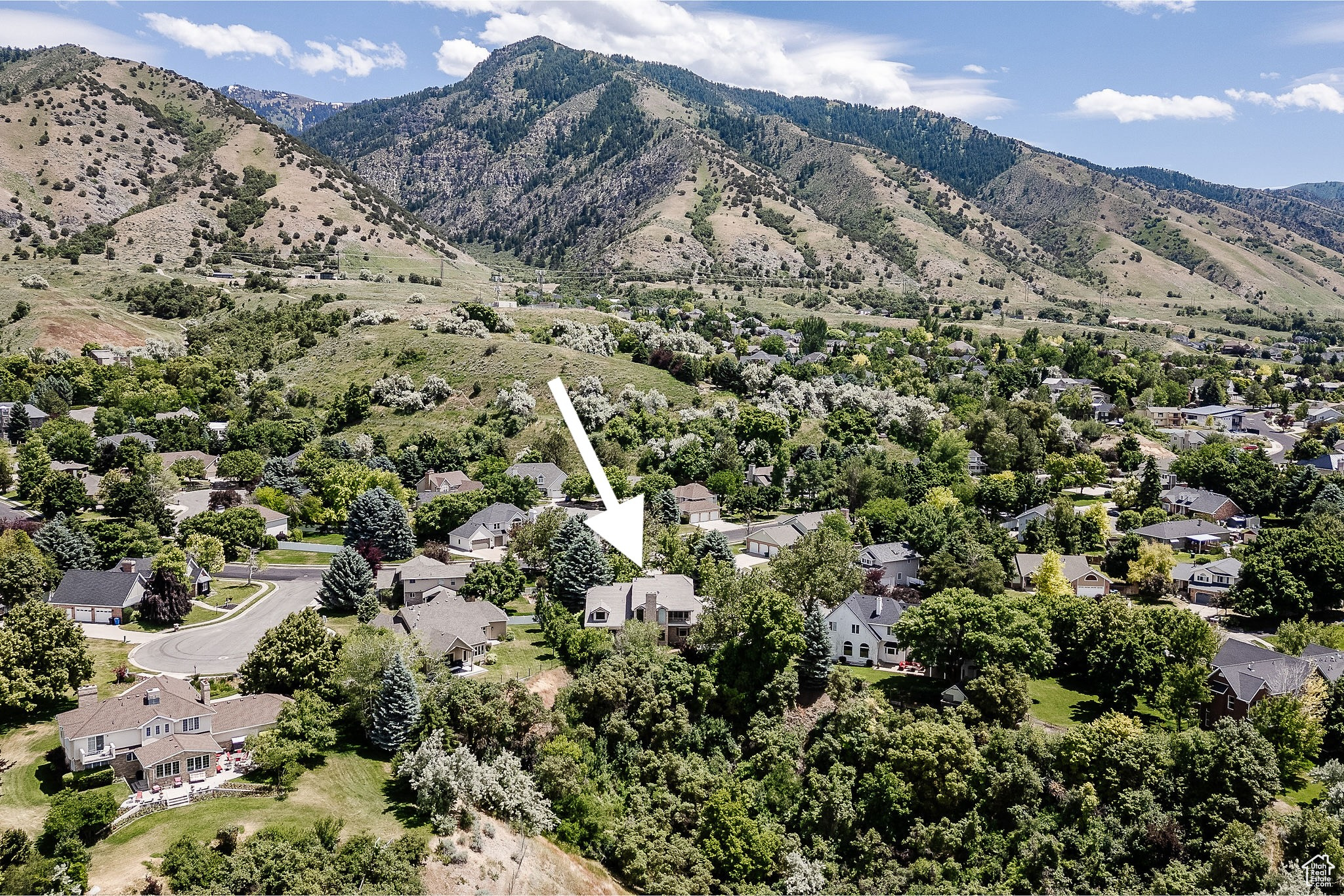 QUAILBLUFF II SUBDIVISION - Residential